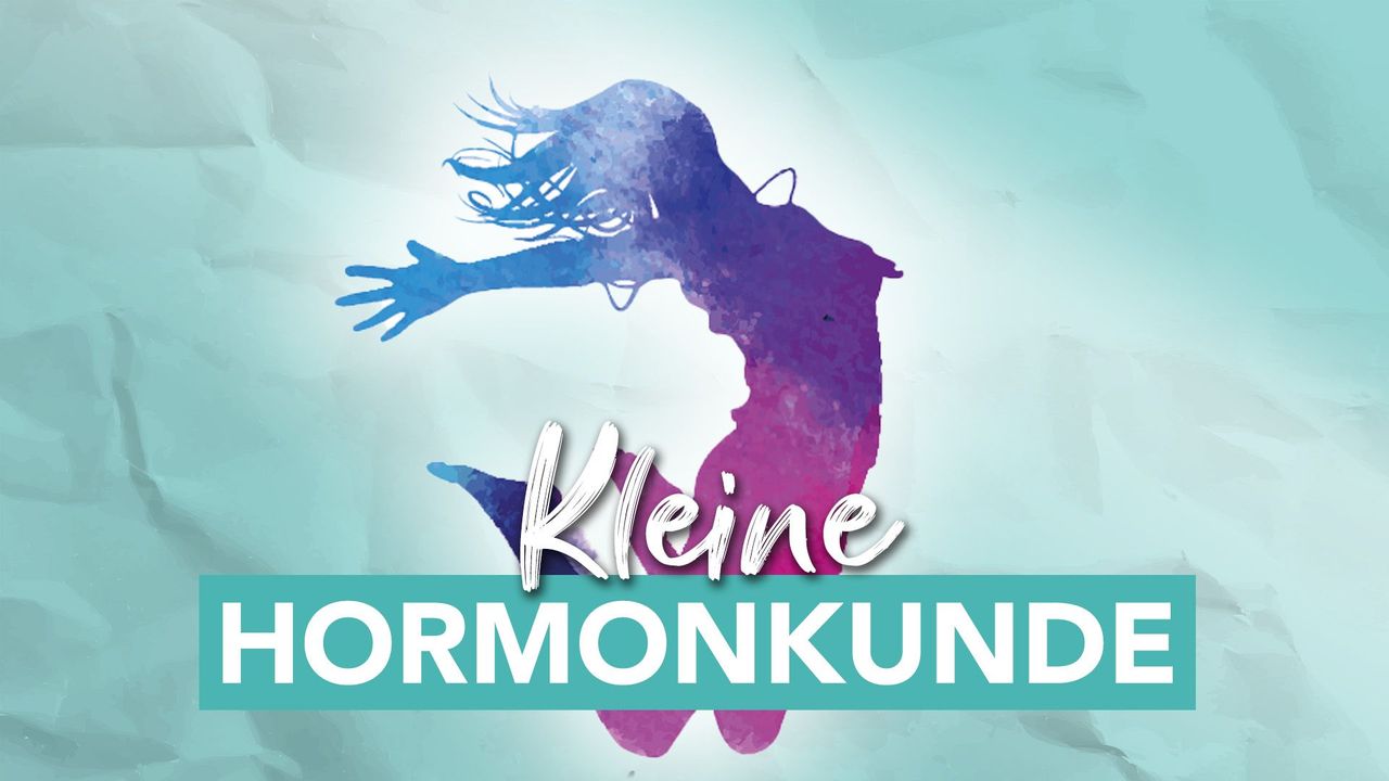 medium_Kleine_Hormonkunde_c20de72fe8.jpg